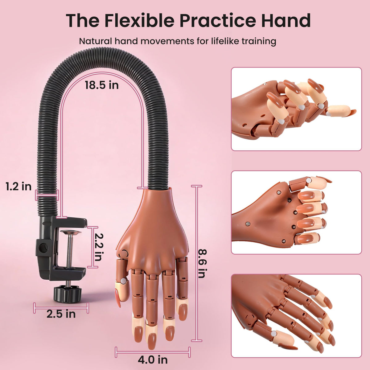 Rolybag kit contents include brown tips and transparent French tips for versatility.