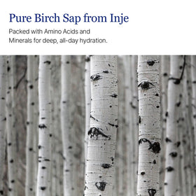 ROUND LAB Birch Juice Toner close-up on birch sap ingredients