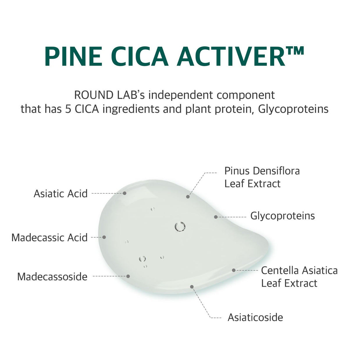 ROUND LAB LHA-based texture refining for smoother pores