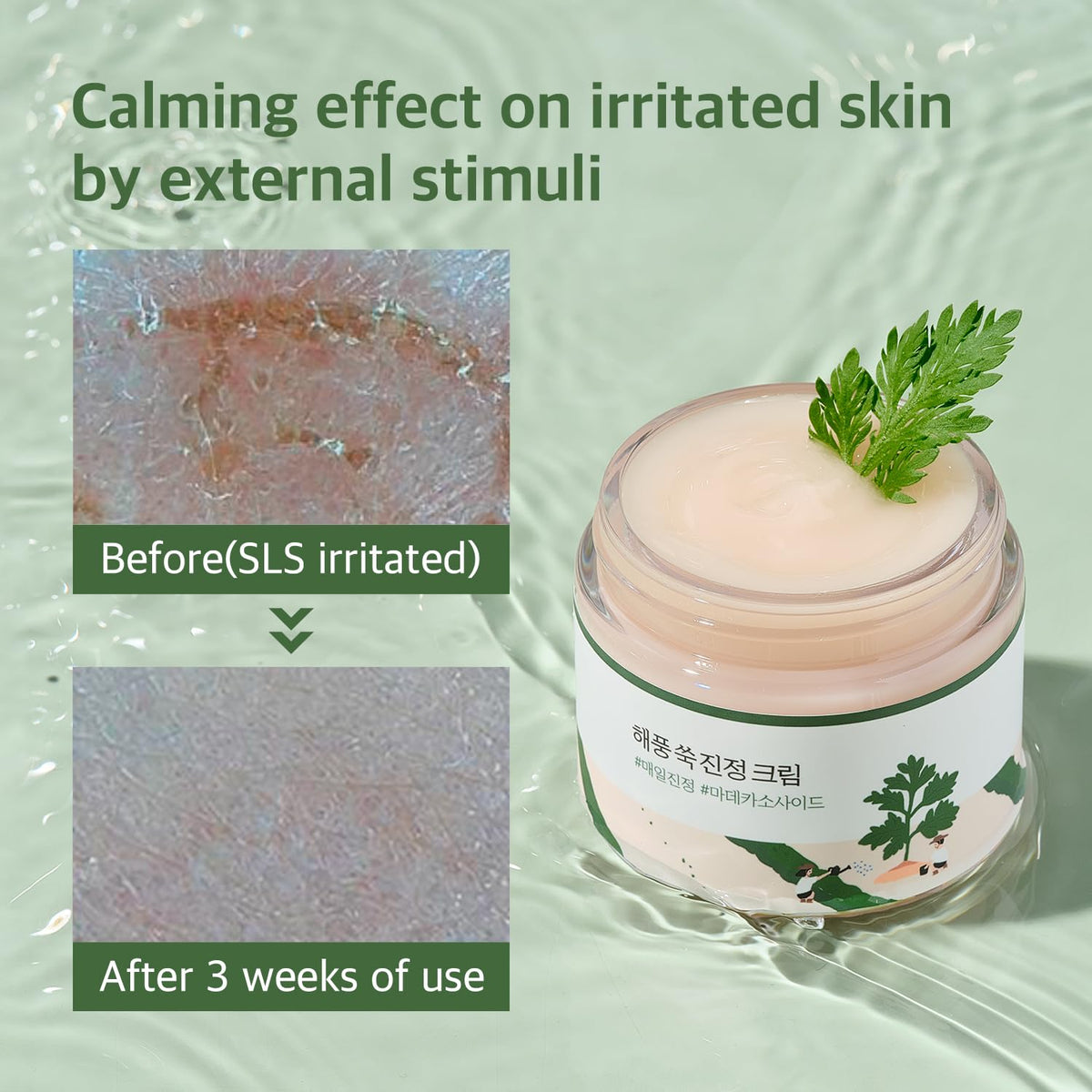 Packaging of ROUND LAB Mugwort Calming Cream on a desk setup