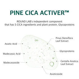 ROUND LAB Pine Calming Cica Pad 7 cm diameter for wide area coverage
