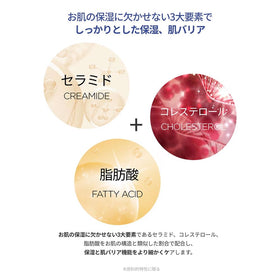 ROUND LAB Soybean Panthenol Ampoule packaging front highlights Korean skincare