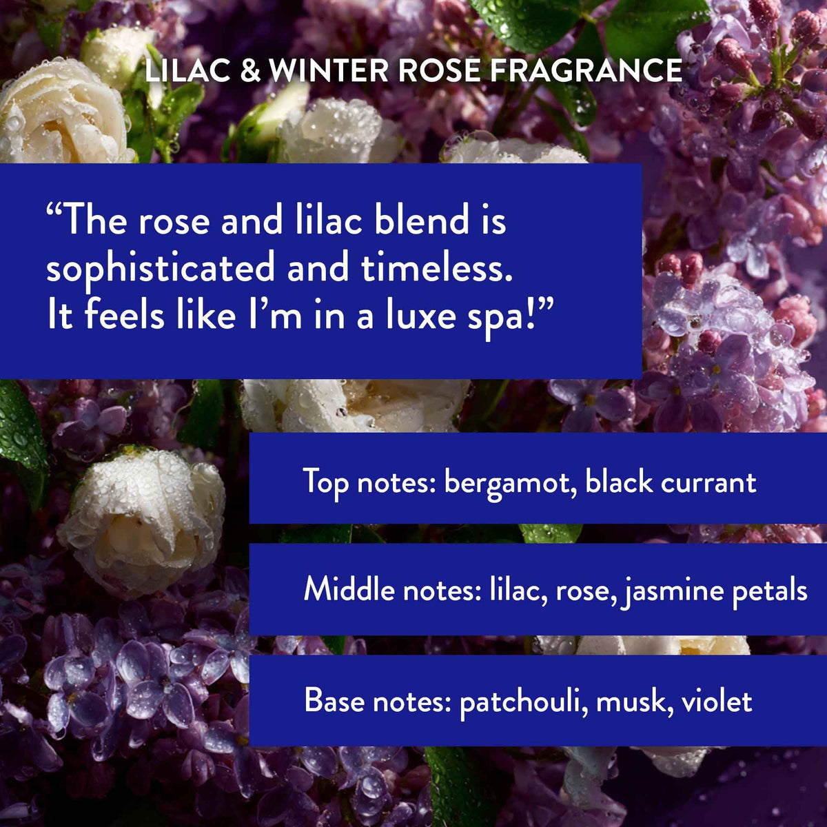 Routine Wellness argan and nettle oils shine in closeup for hydrated strands