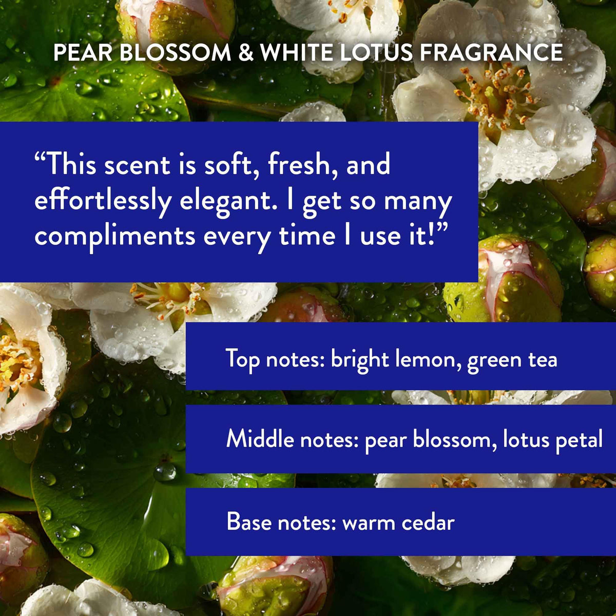 Routine Wellness conditioner tube close-up emphasizes detangling and smoothing benefits.