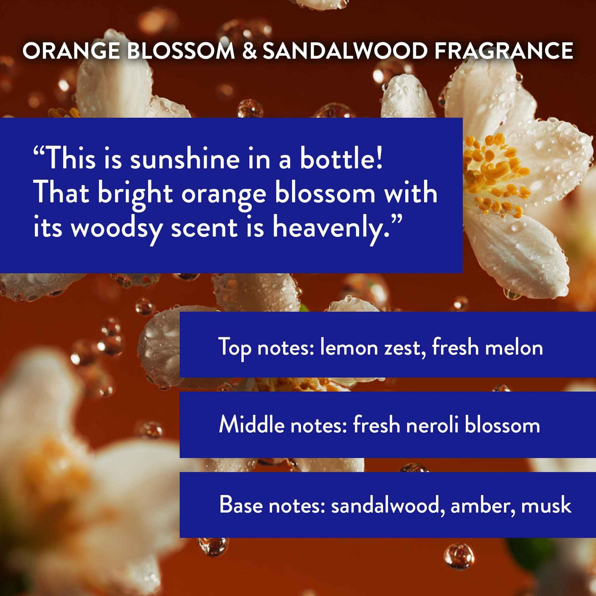 Routine Wellness bottle with orange blossom and sandalwood backdrop emphasizing fragrance.
