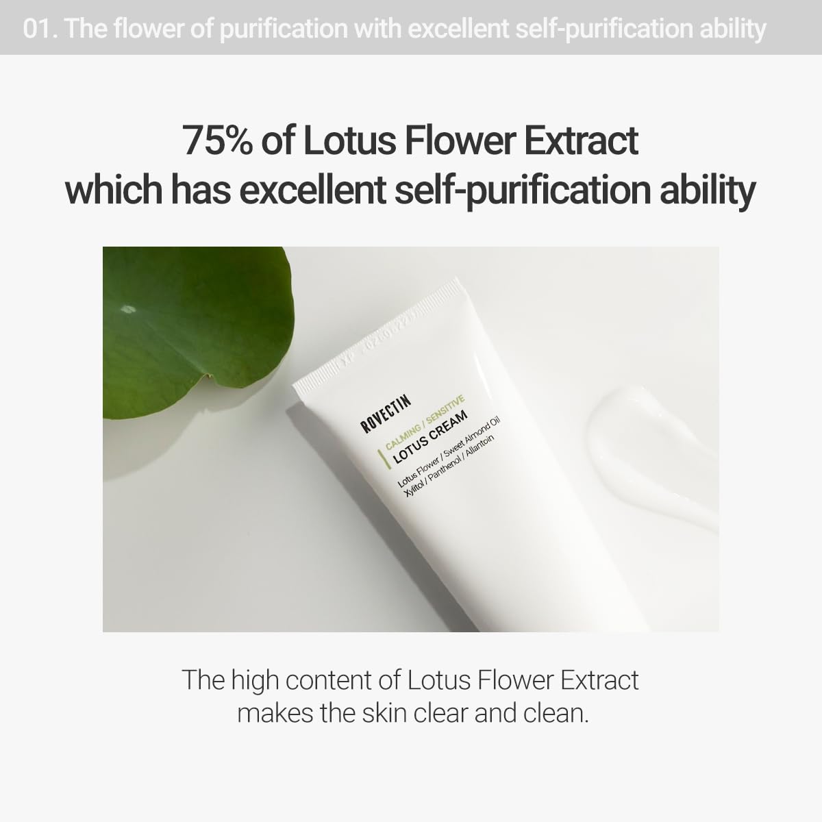 ROVECTIN Calming Lotus Water Cream application motion showing rapid absorption and a smooth finish.
