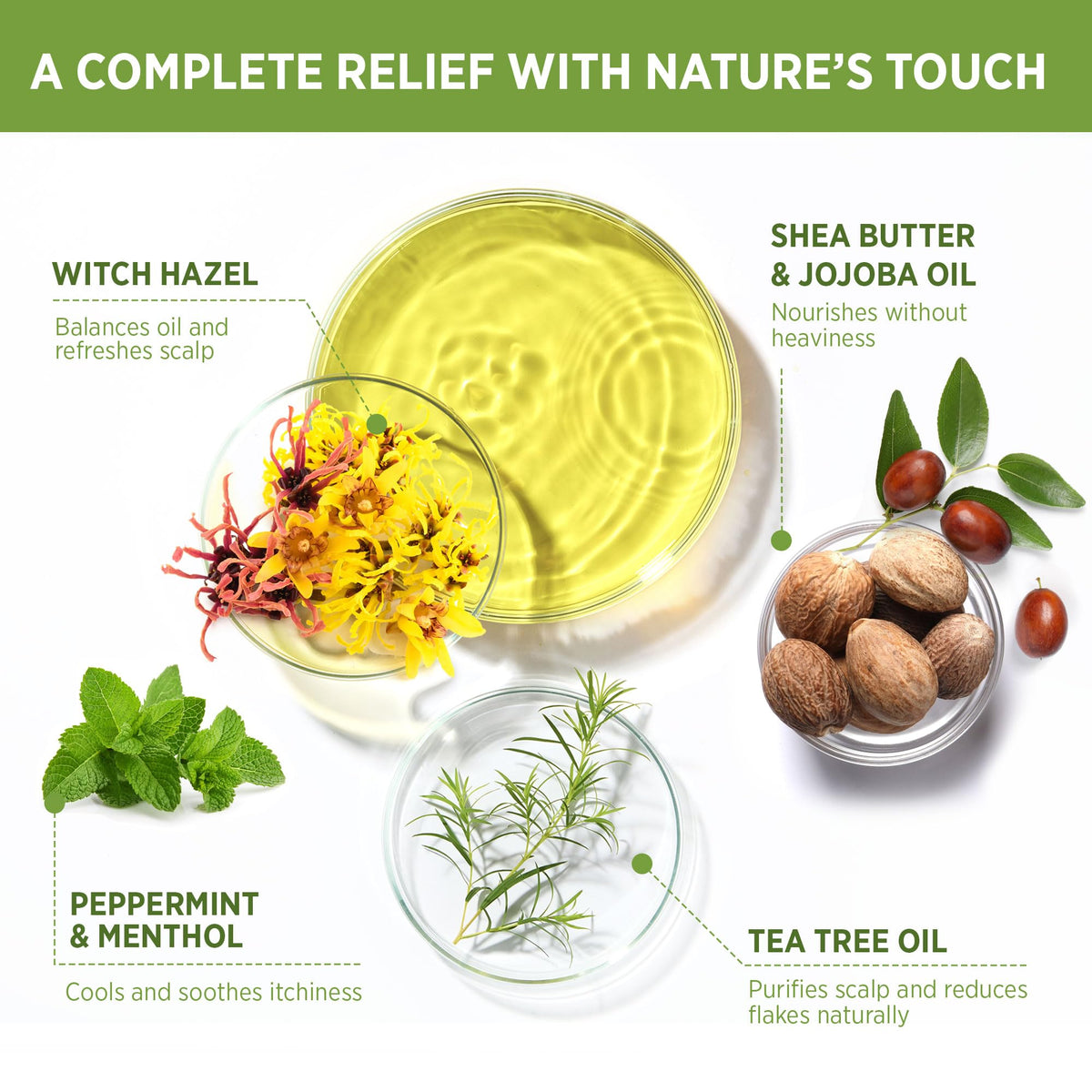 Roycederm hydrating conditioner restores moisture for smooth, manageable hair