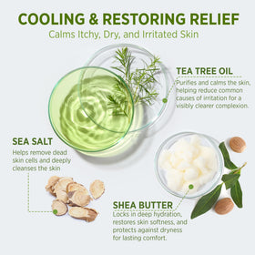 Roycederm Tea Tree Body Wash duo packaging highlights a simple routine.