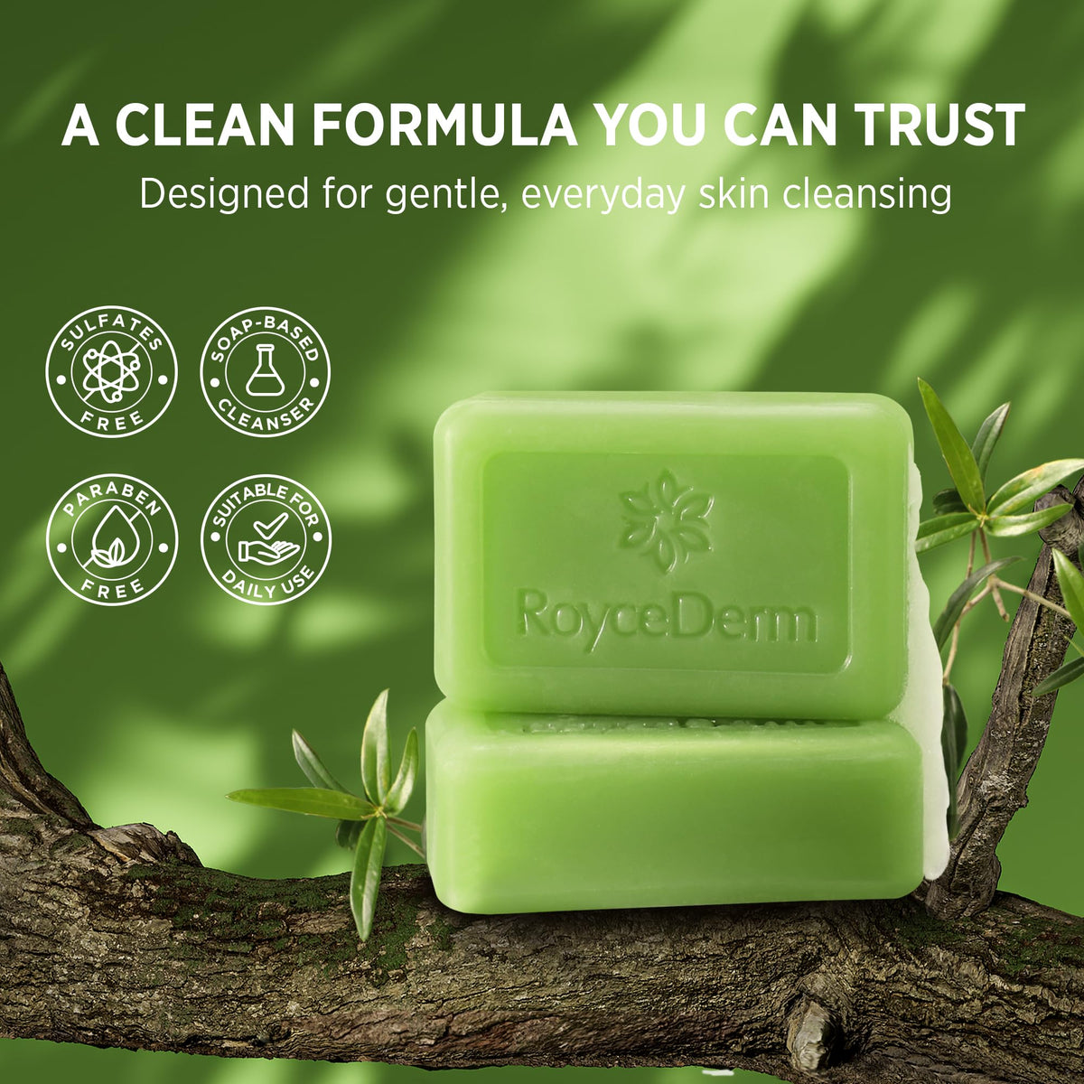 Roycederm Tea Tree Duo packaging shown in a refreshed bathroom scene.