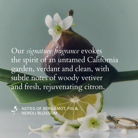 RŌZ spray during day-two styling for renewed body