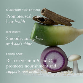 RŌZ Root Lift ingredients panel highlights mushroom root and rice protein