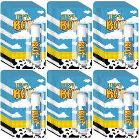 Sacubee It's a Boy lip balm prize pack for baby shower games.