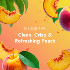 Safeguard Peach Hand Wash pump cap with label suggests quick, family-friendly hand cleansing