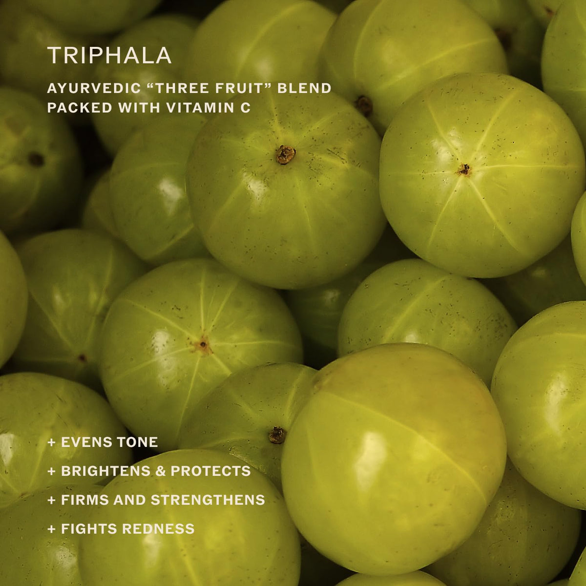 Sahajan packaging close-up showing sustainable and cruelty-free packaging