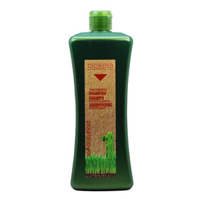 SALERM Biokera Natura Fortifying Shampoo bottle with invigorating scalp refreshment and hair strengthening