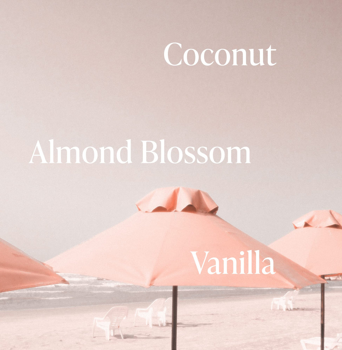 Saltair Almond Scent Conditioner closeup emphasizing fragrance
