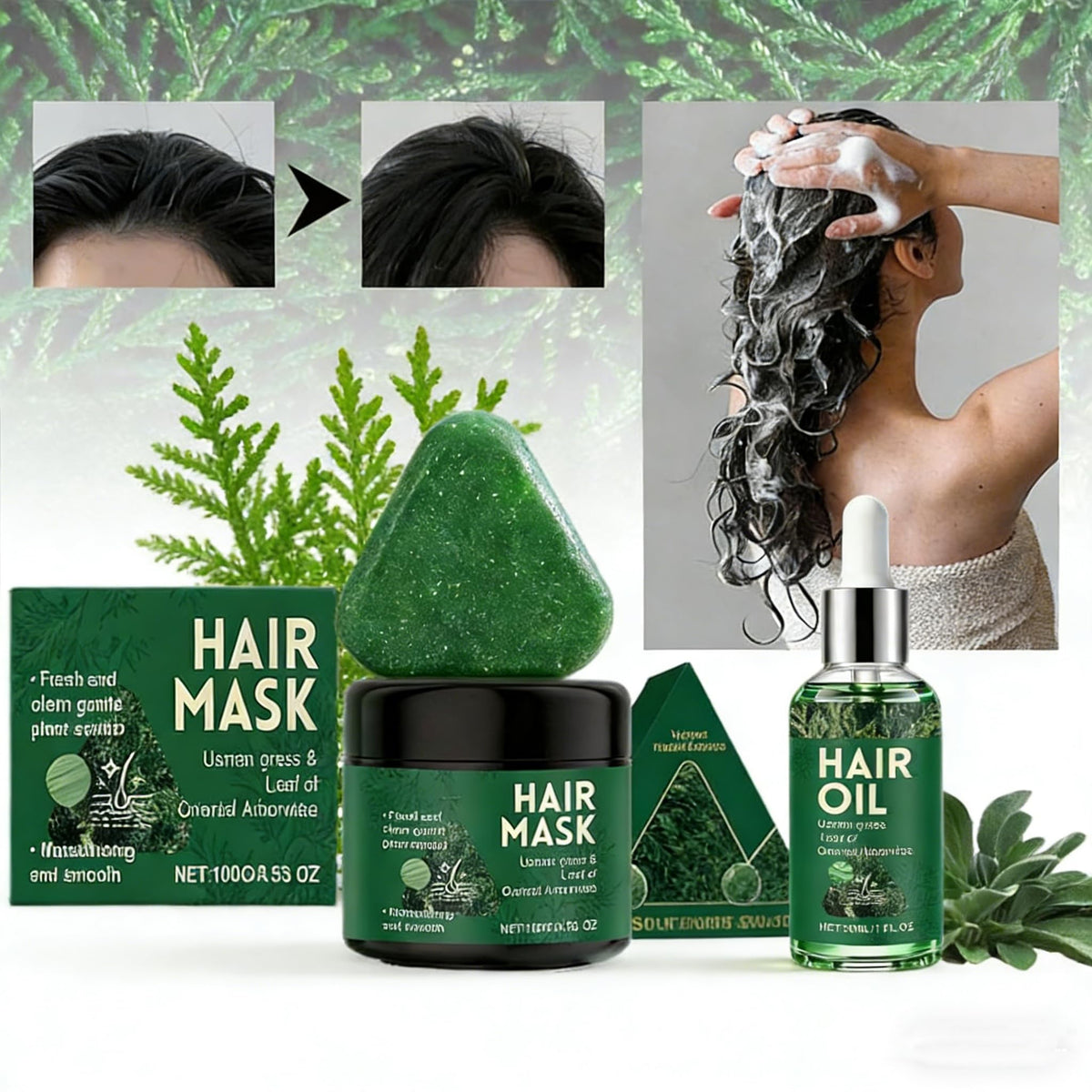 SANZHUAN Usman Grass Leaf of Oriental Arborvitae highlights natural strength booster.