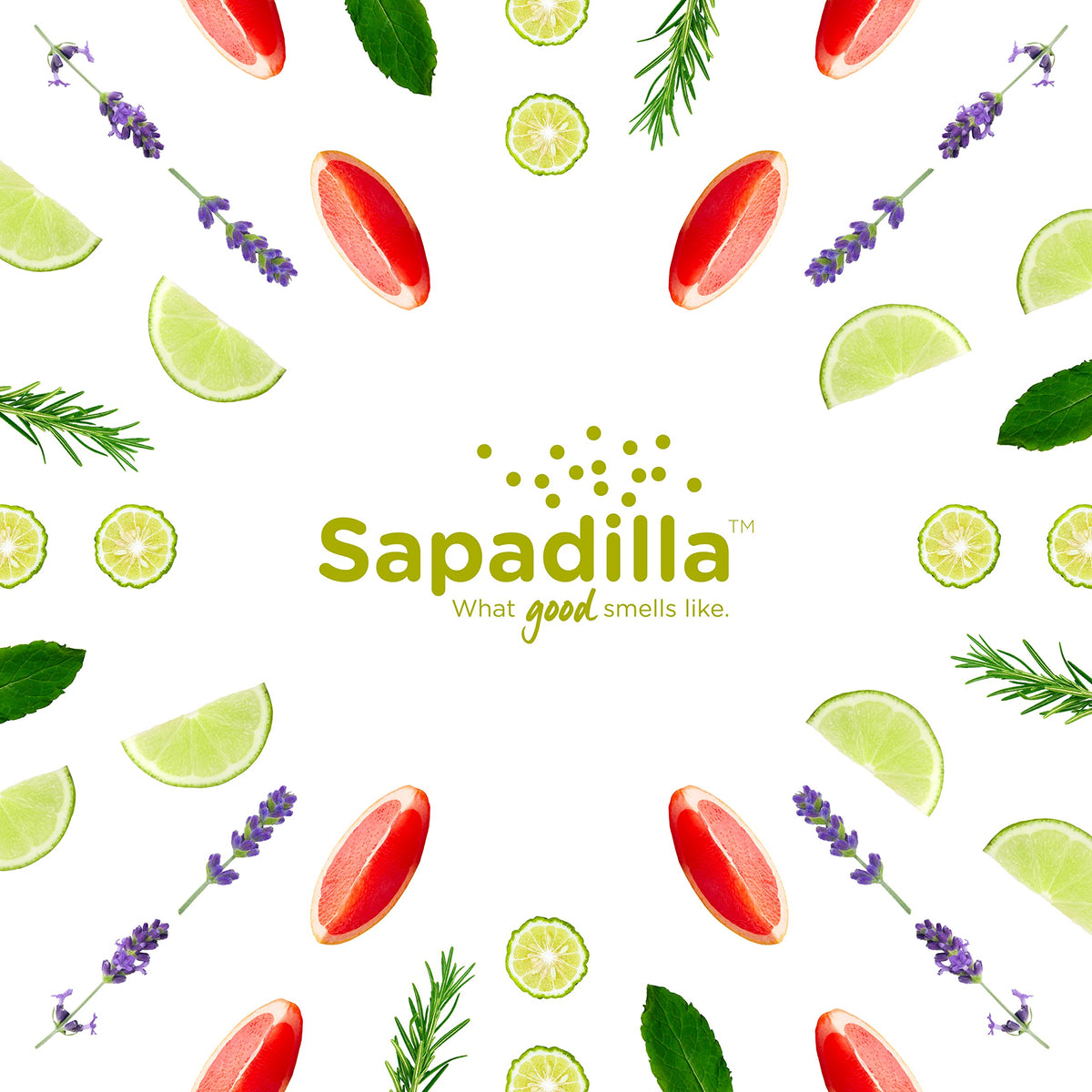Sapadilla fresh citrus notes swirl illustrating invigorating fragrance.