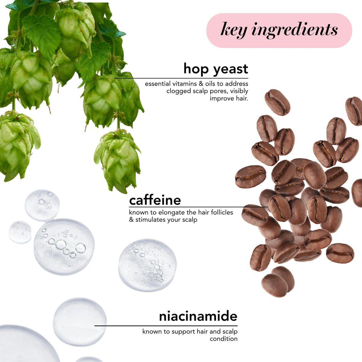 Saturday Skin 15-peptide complex illustration highlights elasticity and hair structure