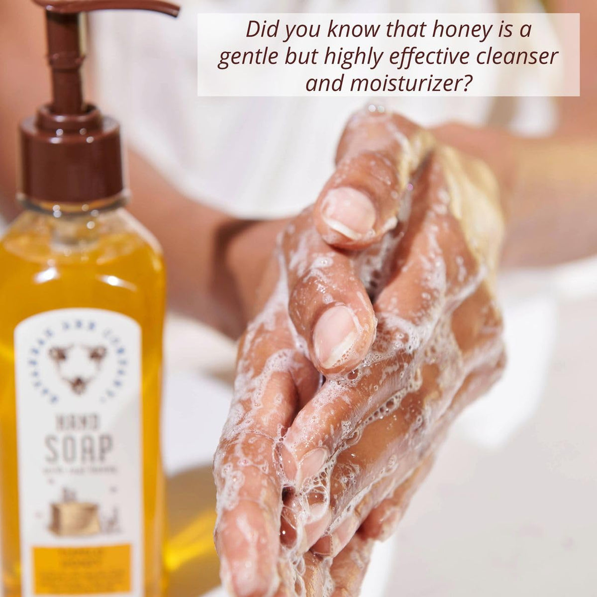 Savannah Bee Company bottle close-up highlights aloe vera and Tupelo honey ingredients for gentle cleansing.