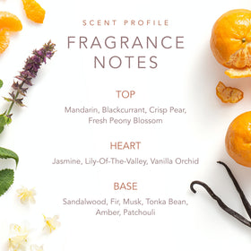 SCENT BEAUTY packaging emphasizes sustainability and celebrity collaboration.