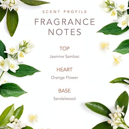 SCENT BEAUTY Early Morning Breeze gift box, a thoughtful present option.