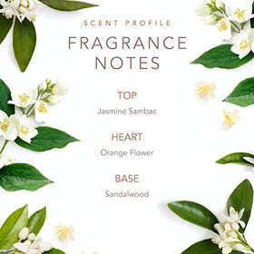 SCENT BEAUTY Early Morning Breeze gift box, a thoughtful present option.