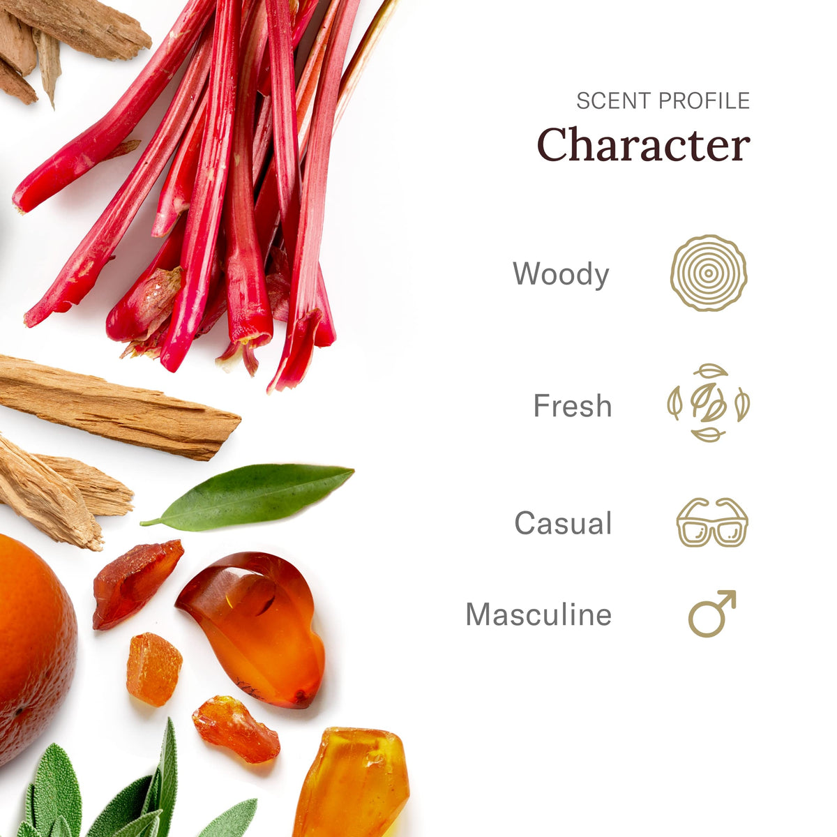 SCENT BEAUTY Stetson gel-stick closeup demonstrates smooth application and skin-friendly odor defense.