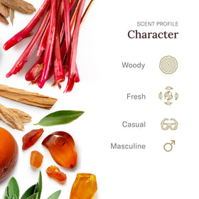 SCENT BEAUTY Stetson gel-stick closeup demonstrates smooth application and skin-friendly odor defense.