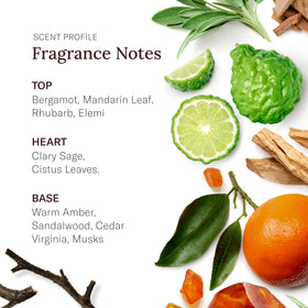 SCENT BEAUTY Stetson Spirit scent notes closeup showcases masculine fragrance profile.