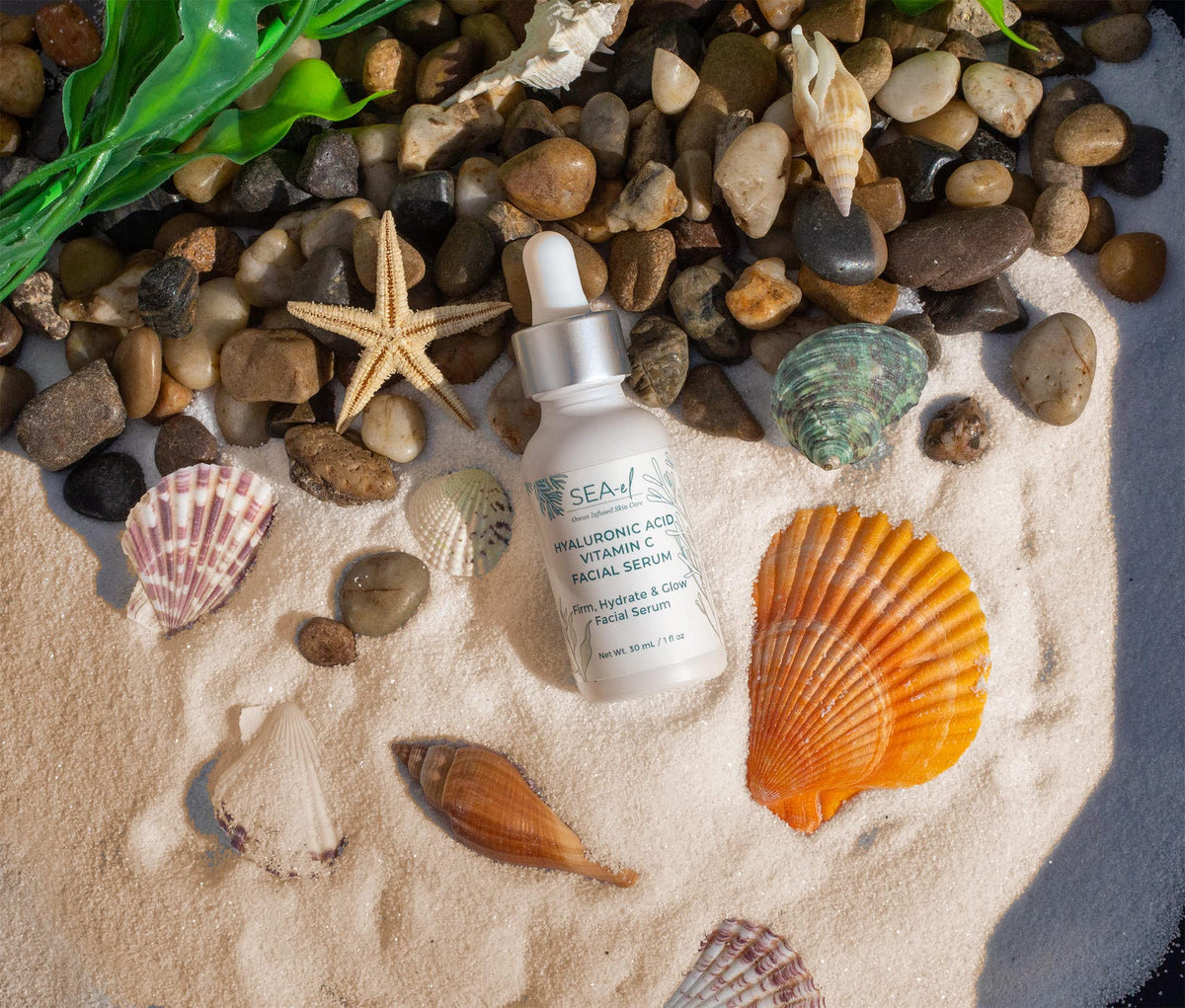 Sea-El bottle beside green tea imagery emphasizes antioxidant protection.