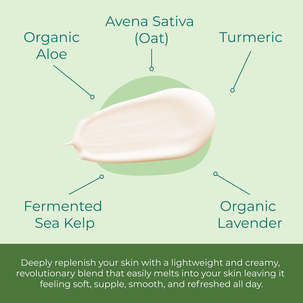 Sea-El Lamina Sea Kelp Day Cream being applied delivers instant hydration and smoothness