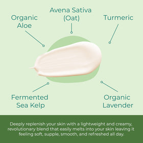 Sea-El Lamina Sea Kelp Day Cream being applied delivers instant hydration and smoothness
