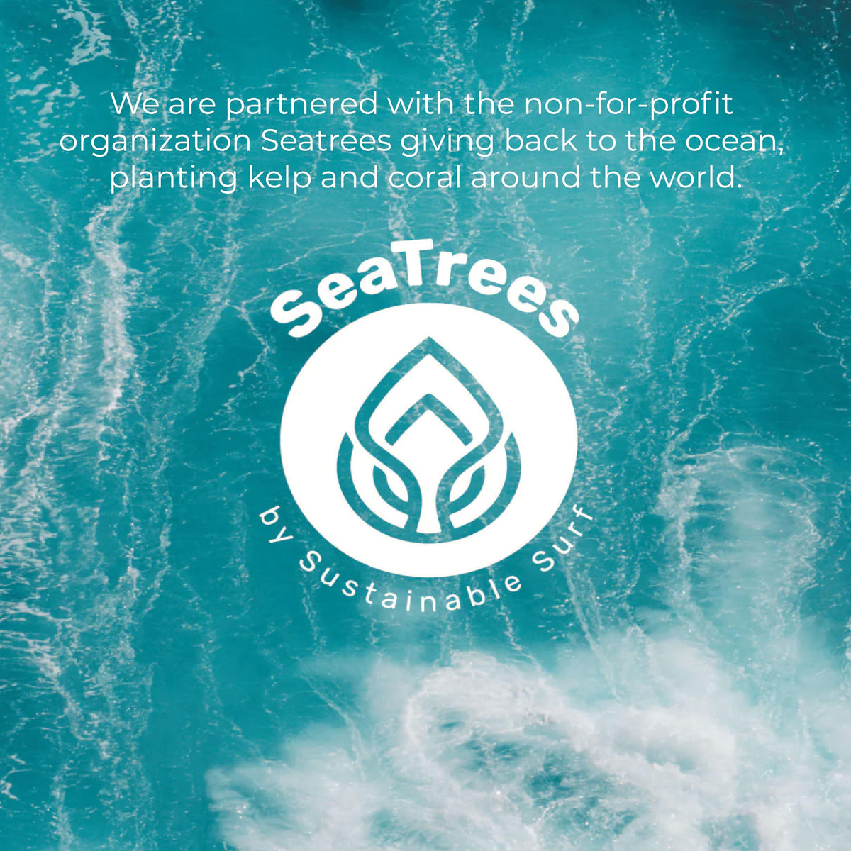Sea-El Lamina Sea Kelp Day Cream eco-packaging signals cruelty-free values