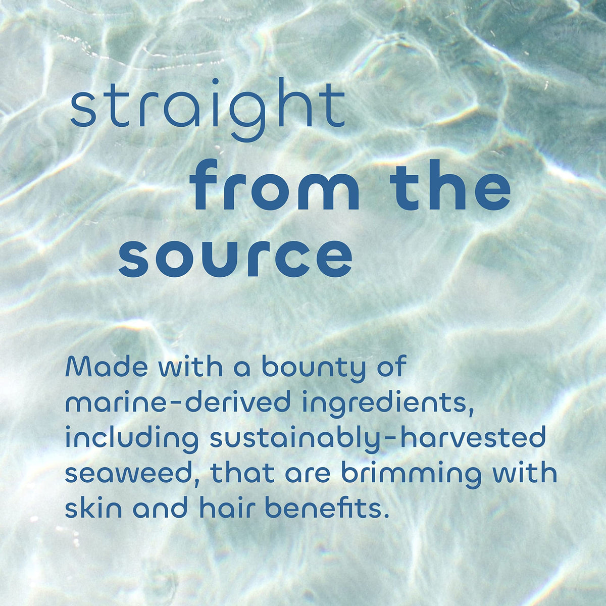 Seaweed Bath Co. Volumize Shampoo barley protein graphic illustrates hair-strengthening benefits