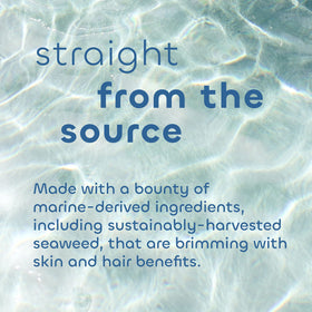 Seaweed Bath Co. Volumize Shampoo barley protein graphic illustrates hair-strengthening benefits