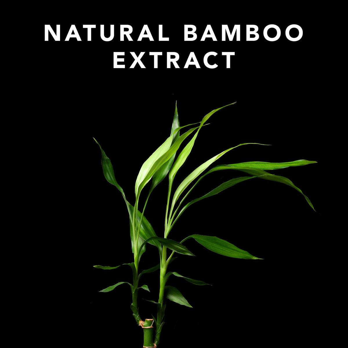Sebastian Volupt bamboo-extract close-up emphasizes natural ingredients for color-treated hair