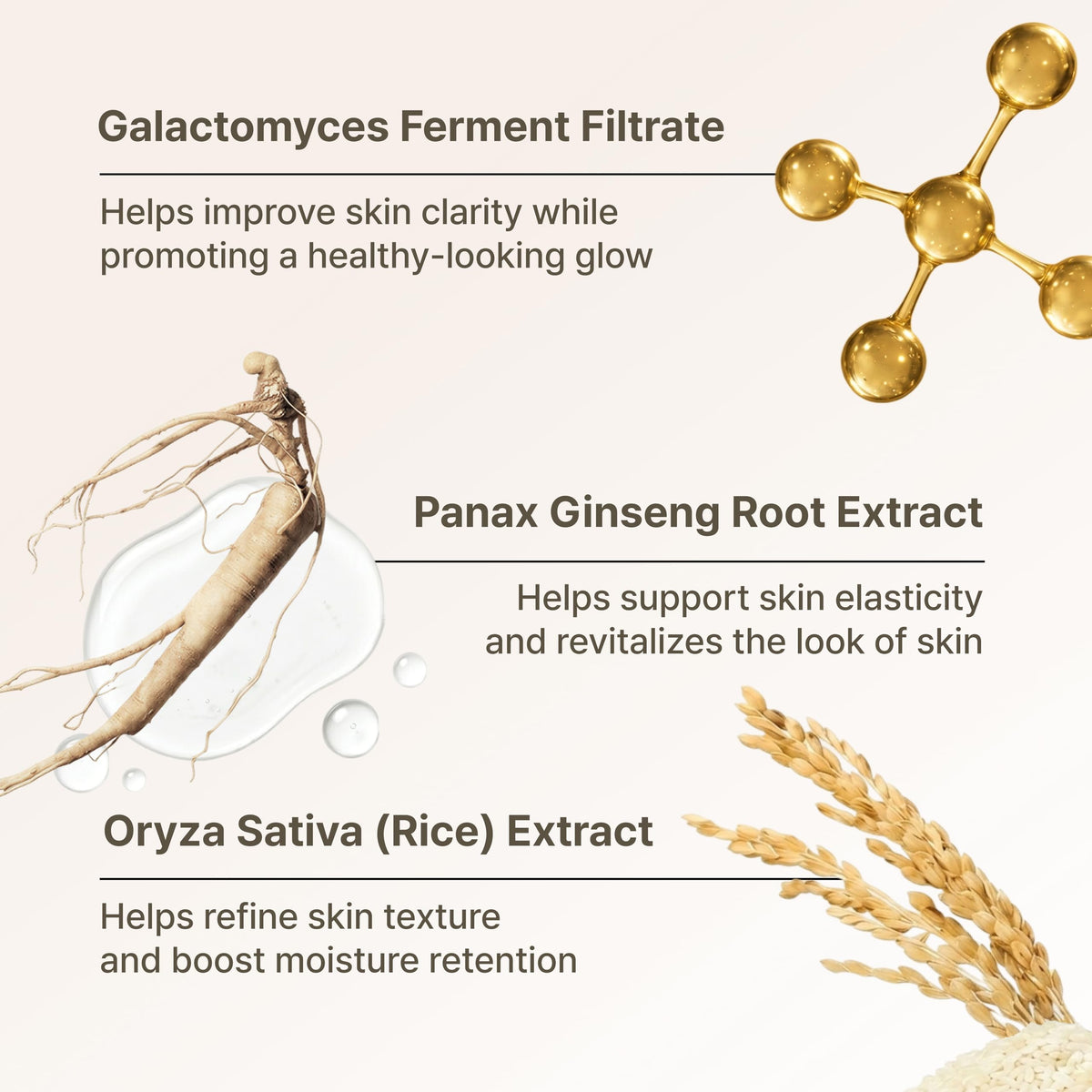 Secret Key botanicals: aloe, centella, and ginseng extracts.