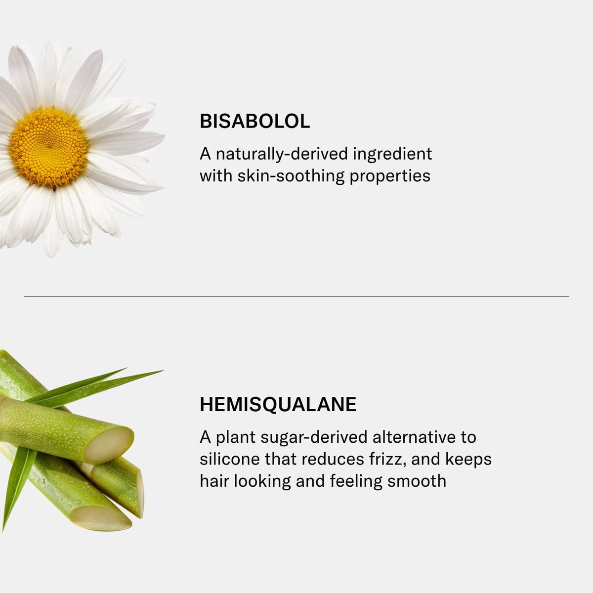 SEEN Shampoo non-comedogenic formula for acne-prone skin.