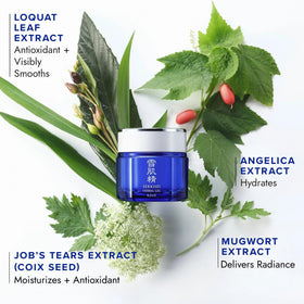 SEKKISEI Herbal Gel Moisturizer texture gel reveals silky, non-greasy finish