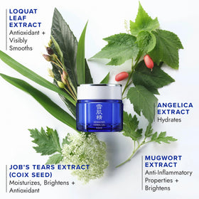 SEKKISEI herbal gel refill pod texture and dispense shows water-like spread.