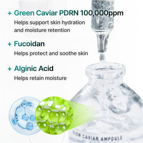 Niacinamide and Ferulic Acid imagery for brightening protection in SELEVE ampoule