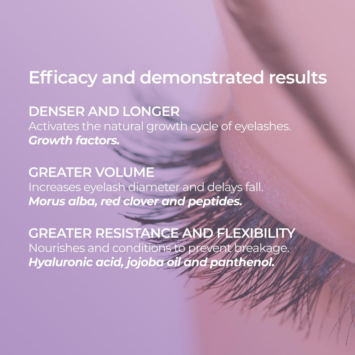 Sesderma SESLASH brow serum bottle for defined, fuller brows.