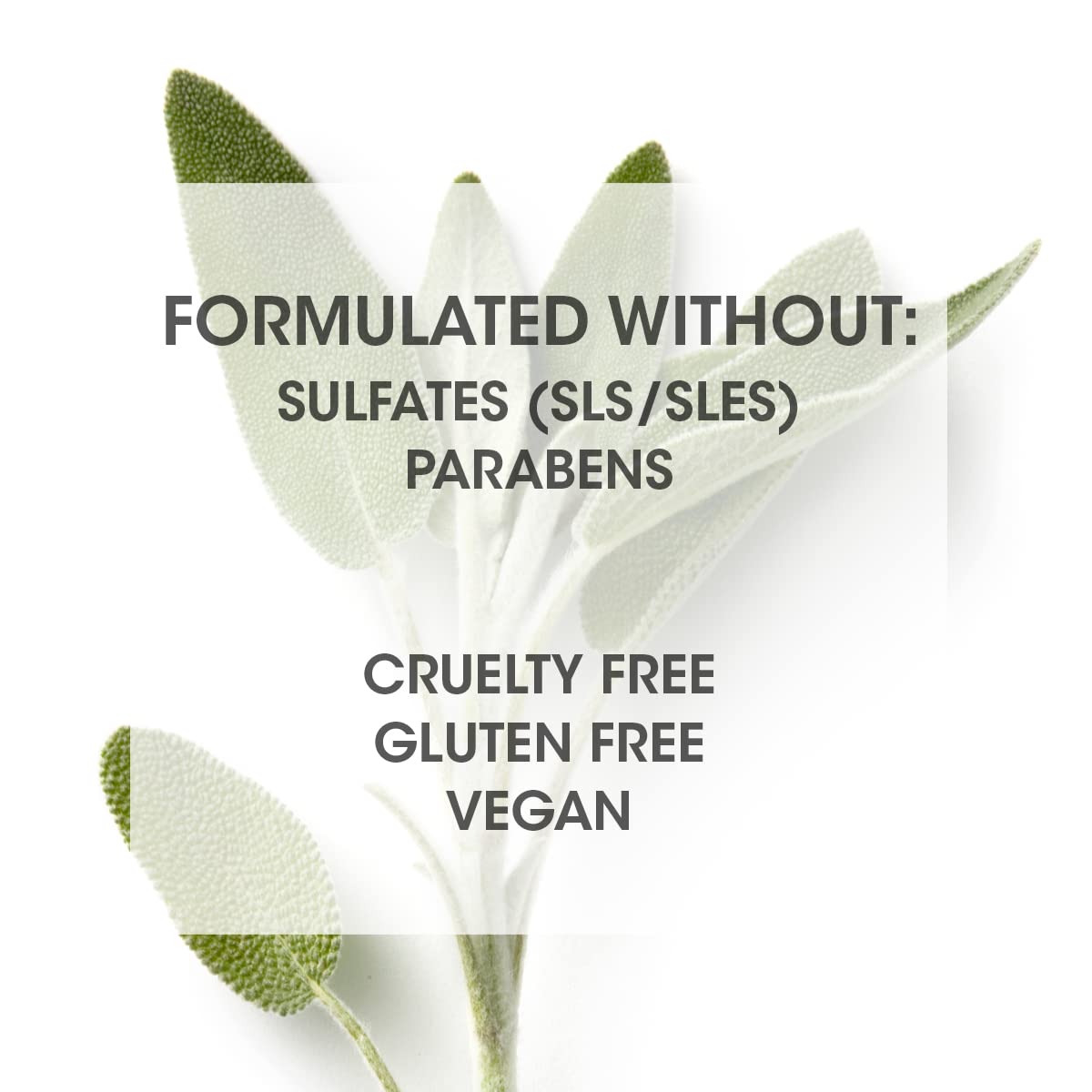 SEVEN Gazar Hydrate conditioner packaging emphasizes cruelty-free formula for ethical care