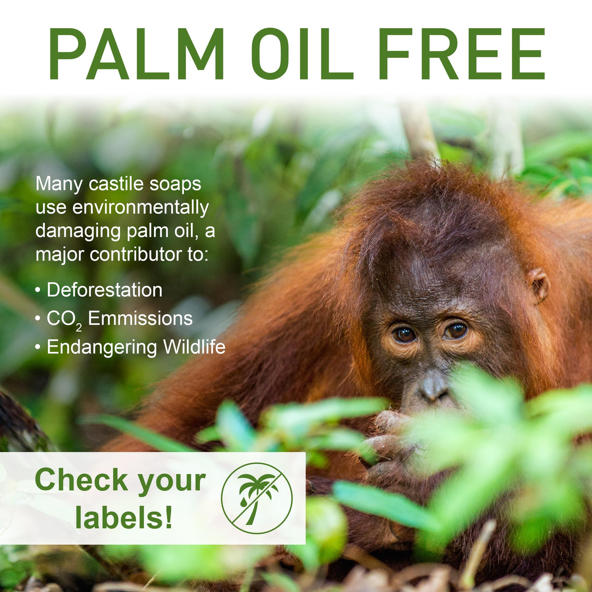 Eco-friendly packaging of Seven Minerals Soap with palm oil-free claim.