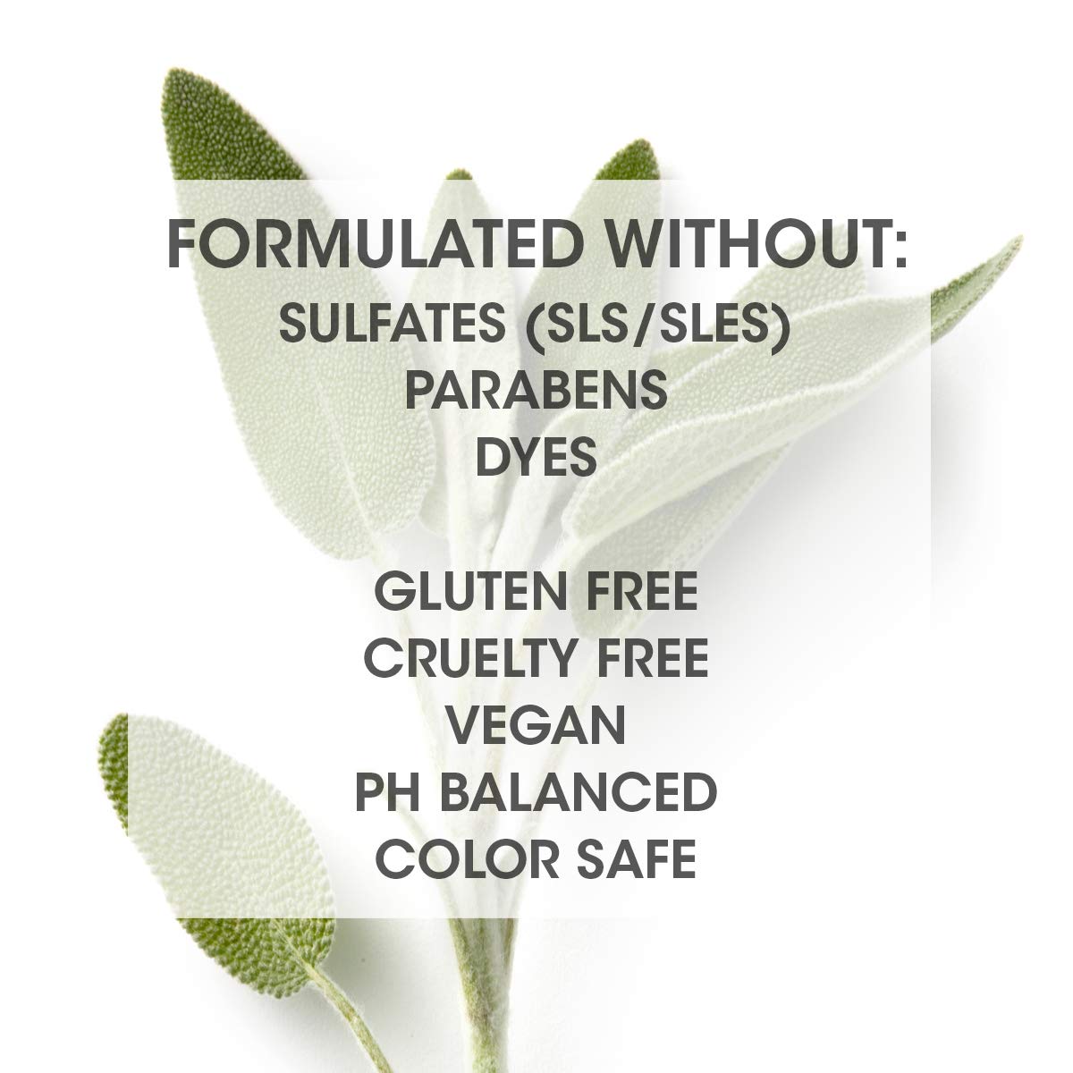 SEVEN Rinzu COLOR Shampoo packaging emphasizes sulfate-free, cruelty-free color care