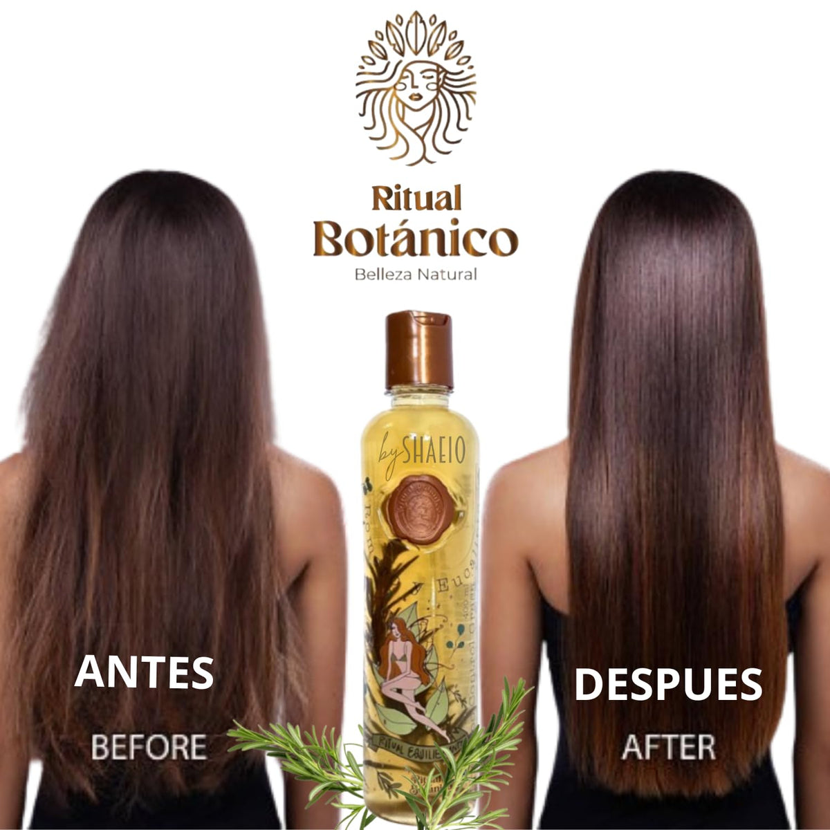 SHAEIO Ritual Botanical Rosemary-Eucalyptus Shampoo applied to damp hair for nourishment.