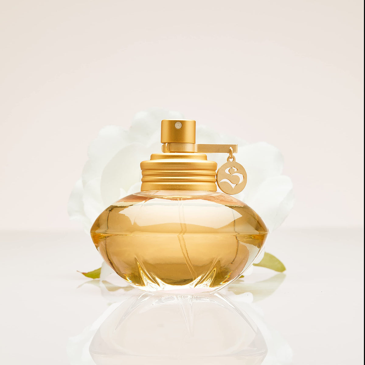 Shakira S bottle on wooden surface hinting cedar and vetiver base
