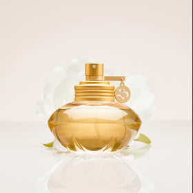 Shakira S bottle on wooden surface hinting cedar and vetiver base