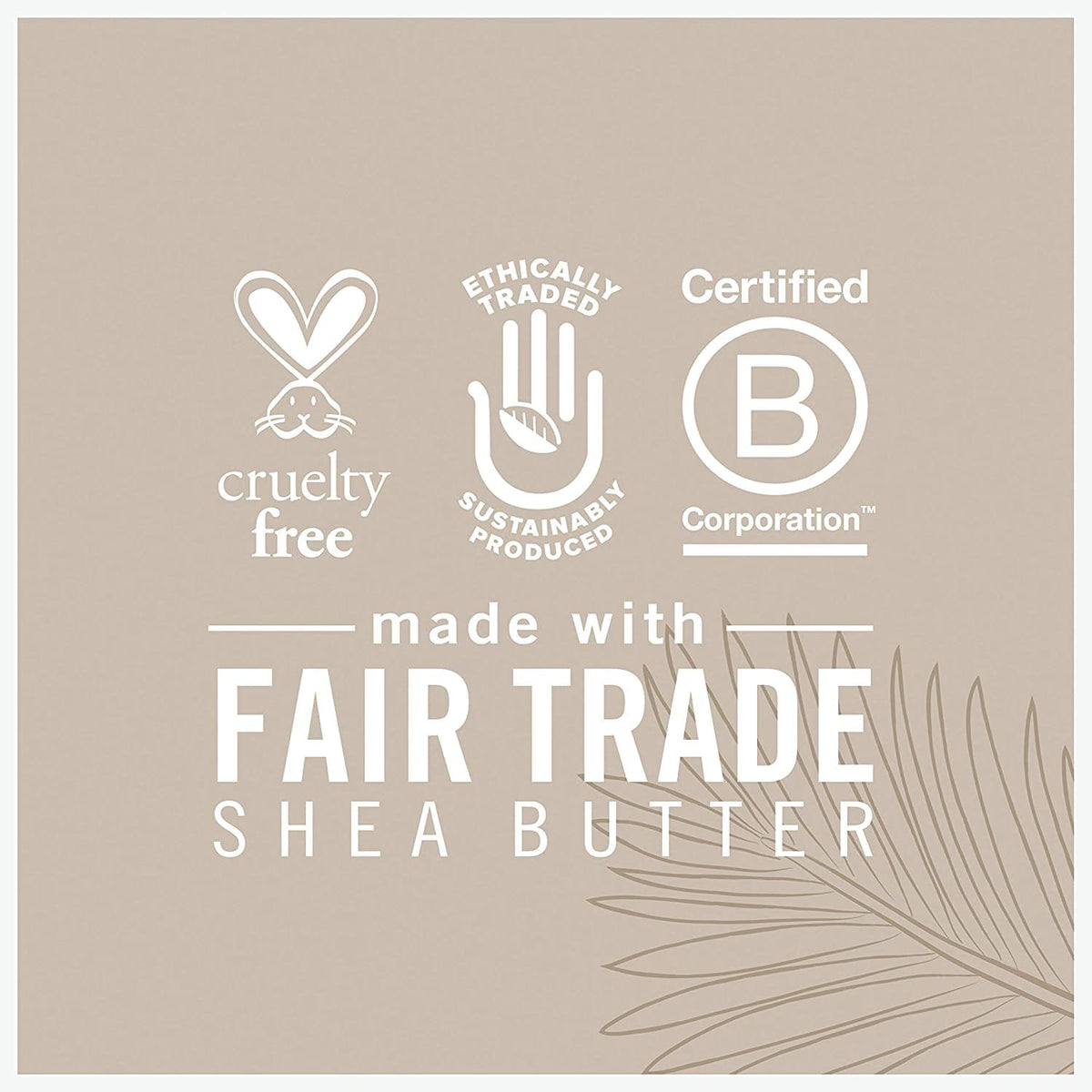 SheaMoisture Coconut Oil for Face organic shea butter detail in formula